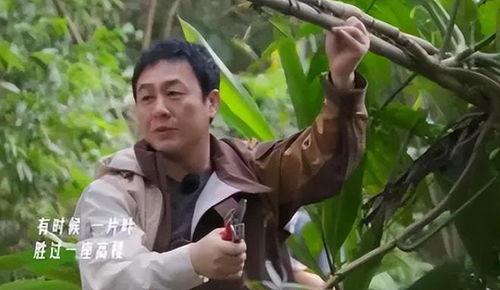 张颂文爆料娱乐圈视频大全,视频大全大揭秘 第1张 张颂文爆料娱乐圈视频大全,视频大全大揭秘 第1张